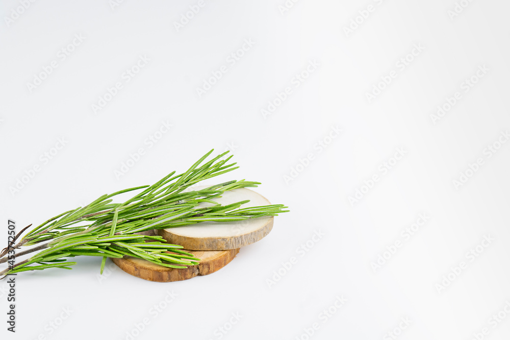 sprig of tarragon on a wooden substrate against a light background, copy space, selective focus sprig of tarragon on a wooden substrate against a light background, copy space, selective focus