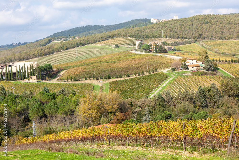 Brolio, Arezzo. Paesaggio con vigneto e fattoria in autunno.