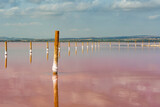 Torrevieja Pink Lake at Natural Park with wooden posts, Alicante Spain