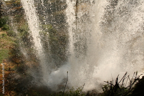 waterfall in the forest