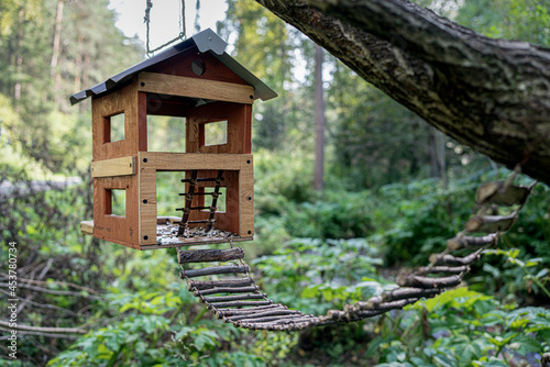 an original bird feeder house in a green summer forest. made with your own hands, a ladder from branches for small animals, squirrels and chipmunks, there they pour bark and nuts with seeds, feed