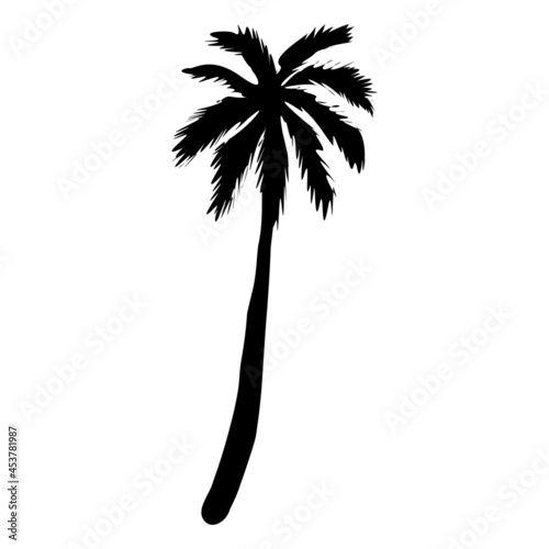 silhouette of coconut tree  palm tree illustration  vector summer sign