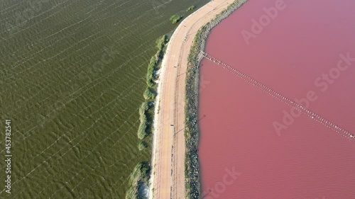 pink lake sasik sivash divided by road in summer photo