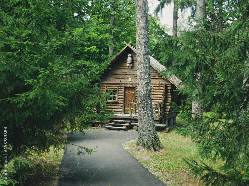Fantastic house. House in the woods. Fantastic house. House in the woods.