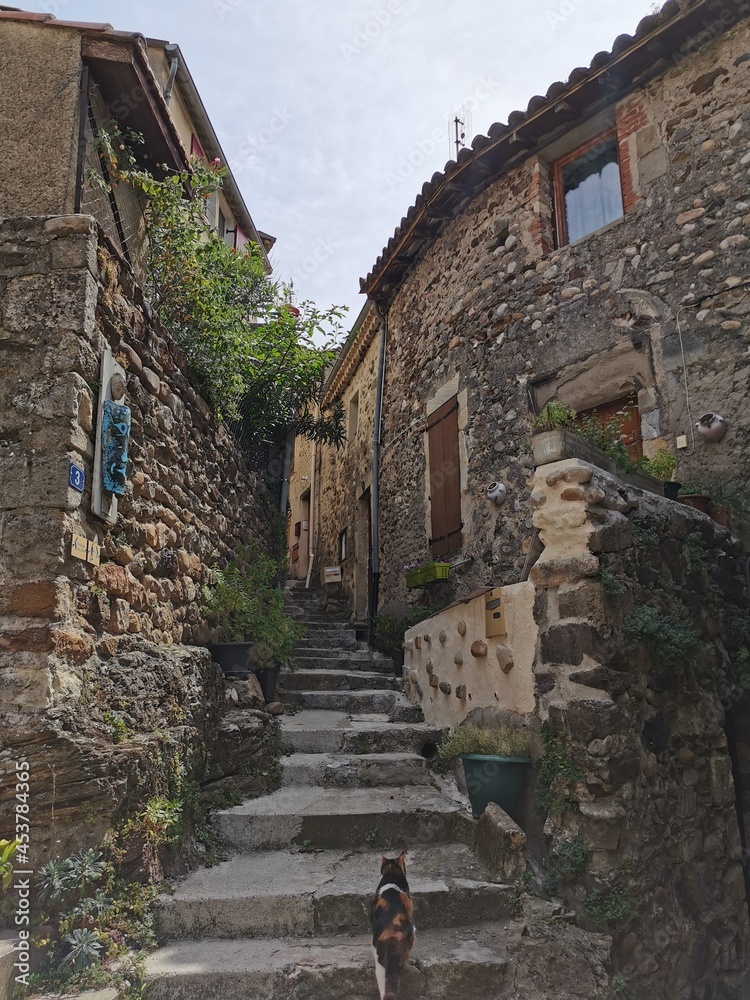 paysage Chalençon