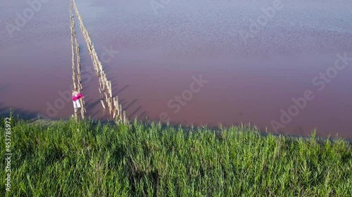 pink lake sasik sivash divided by road in summer photo