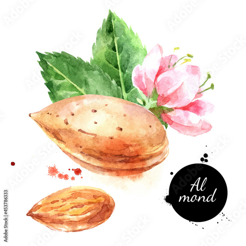 Fotobehang Watercolor almond nut illustration