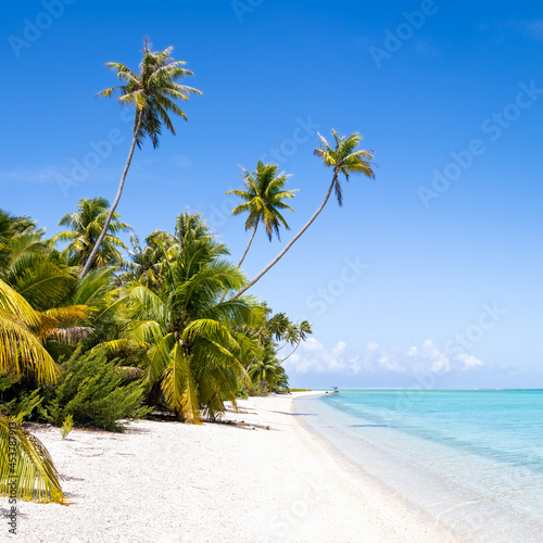 Tropical beach with palm trees and turquoise sea