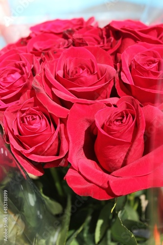 Beautiful bouquet of fresh red roses in full bloom on a bright sunny summer day.
