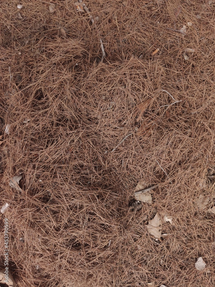 natural brown dry hay abstract Background texture natural brown dry hay abstract Background texture