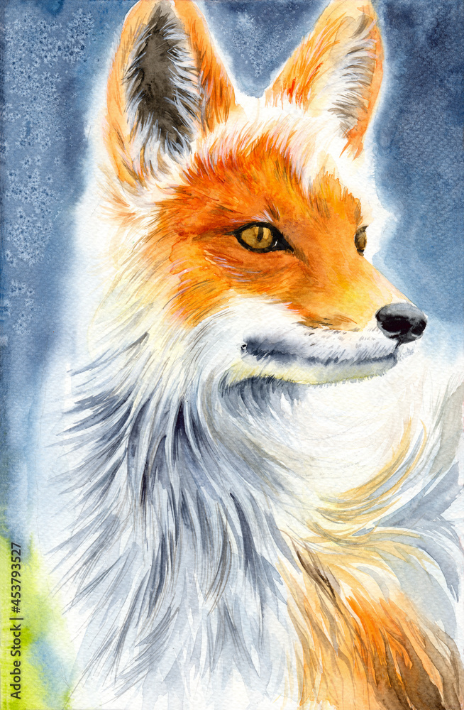 Fototapeta premium Watercolor illustration of a cute fox with fluffy red fur on a blue and green background