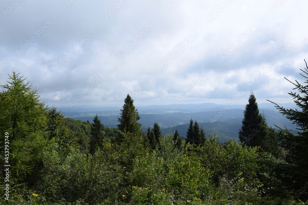 Beautiful mountains scenery, green forest landscape during cloudy and foggy weather in mountains of Beskid in Poland.