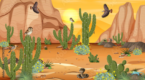 Desert forest landscape at sunset scene with desert animals and plants