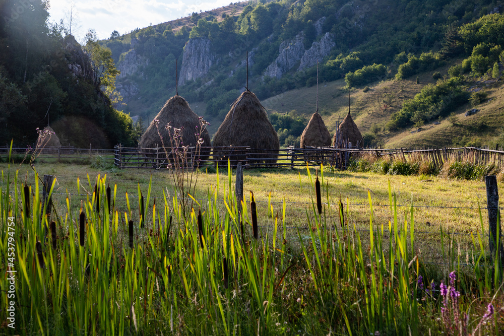 fundatura ponorului beautiful rural landscape in Trasylvania, Romania