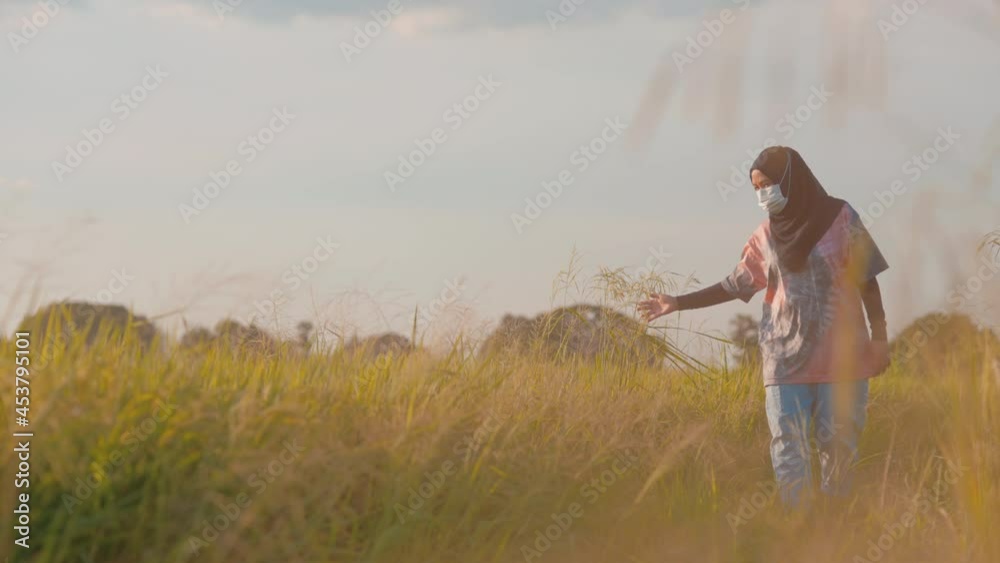 The Muslim farmer is checking rice by use hand touching young paddy on plant gently at the farm.