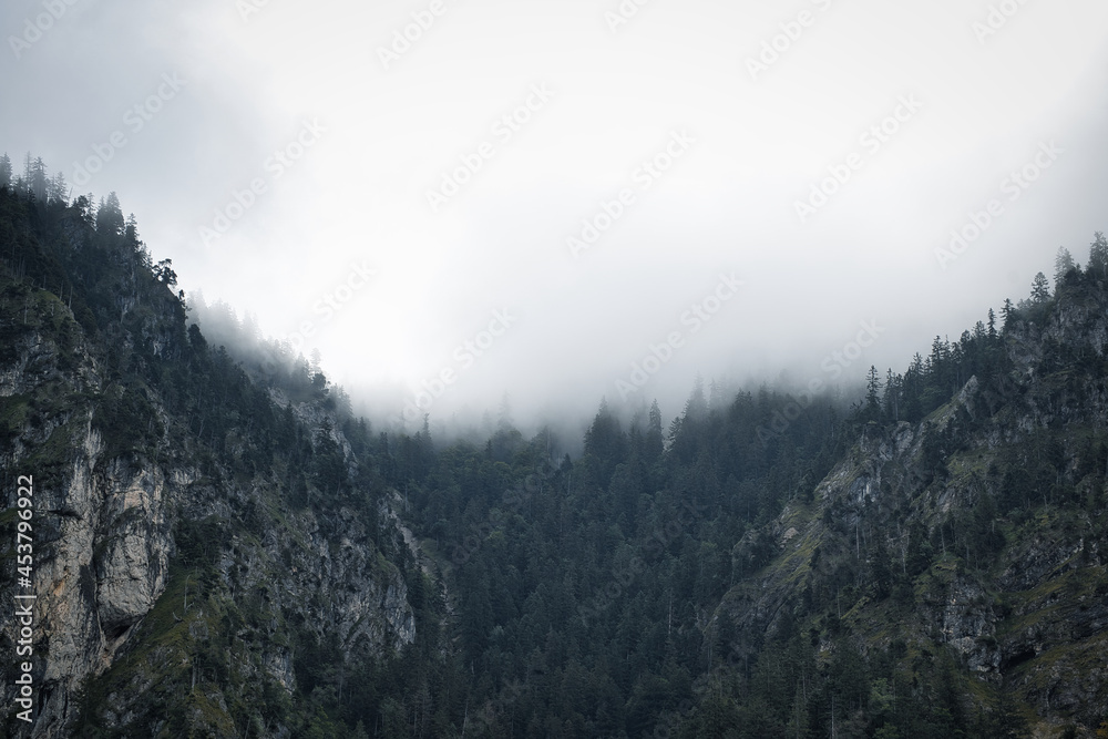 clouds and fog over the mountains and forest clouds and fog over the mountains and forest