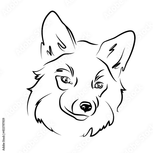 vector wild fox head mammal silhoutte white black contour design for cloth mug paper logo cunning clever animal symbol