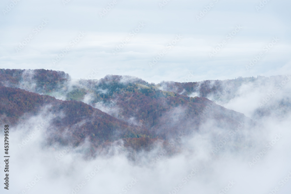Amazing flowing morning fog in autumn mountains
