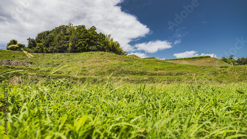 【香川県 豊島】夏の青い空の下の草原と丘の自然風景 