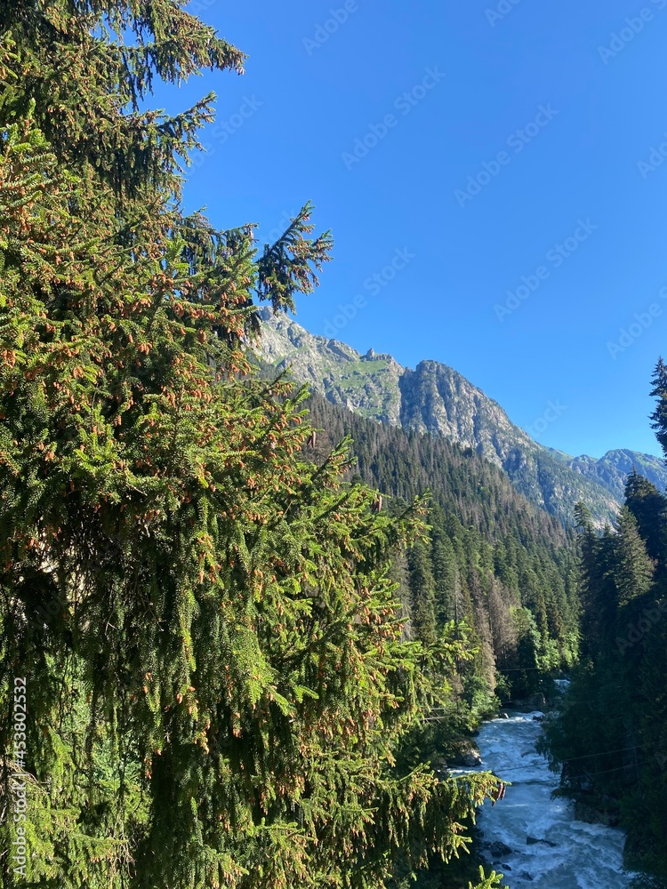 Obraz premium lake tahoe state