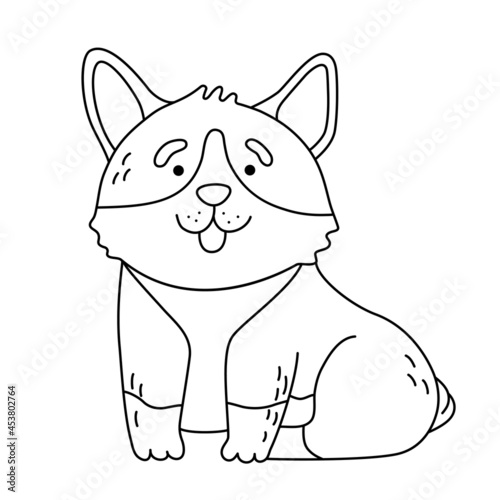 Fluffy shaggy dog ​​breed corgi coloring page. Isolated vector illustration for coloring book, print, game, party, kids design.