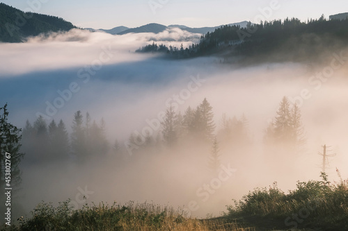 Misty landscape. Morning fog sunrise high in the Carpathian mountains in Ukraine. © vlamus
