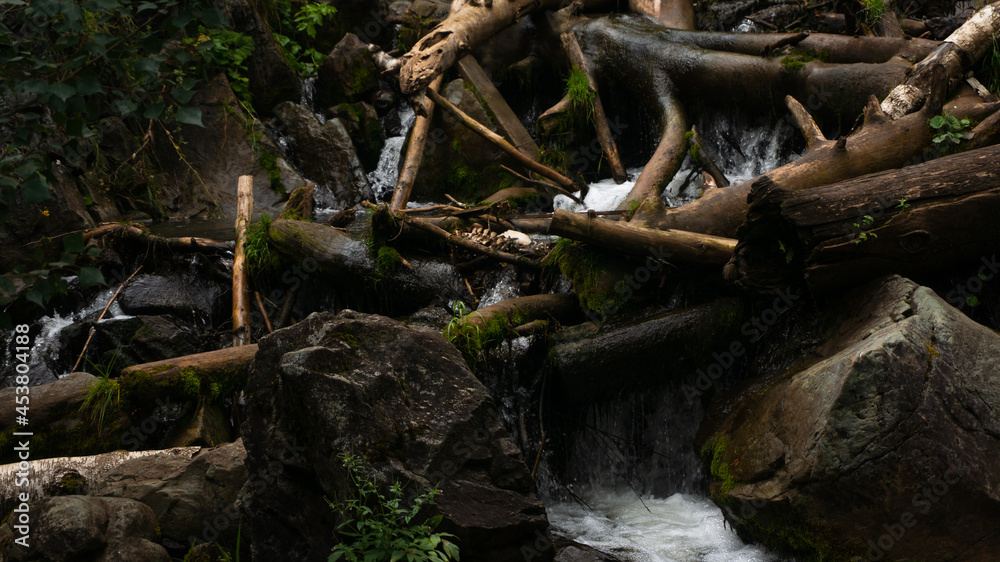 Waterfall flowing through ancient woods