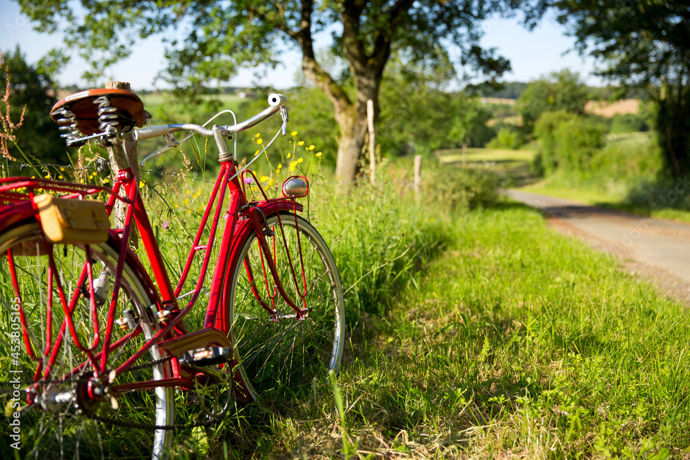Balade en vélo sur une route de campagne au printemps.