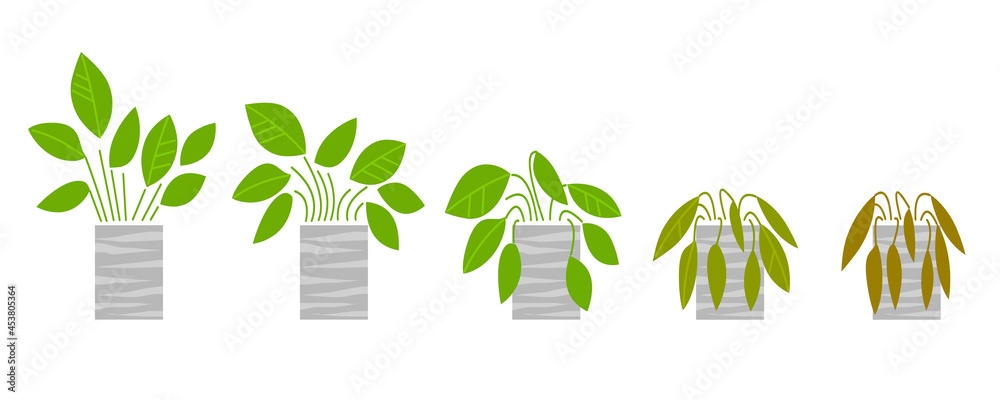 Εκτύπωση καμβά Houseplants in gray pots