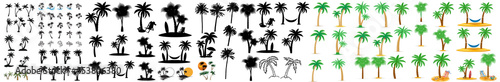 Fényképezés Palm silhouettes