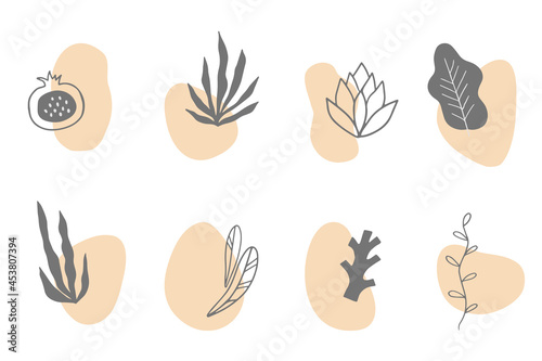 Set of hand drawn floral elements with abstract organic shapes. Minimalist leaves, fruit and plant branches collection. Vector illustration