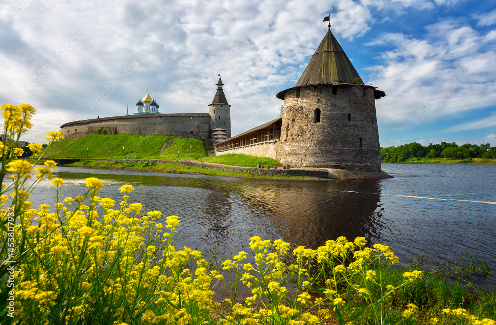 Obraz premium Ancient Kremlin and yellow flowers in summer day, Pskov, Russia