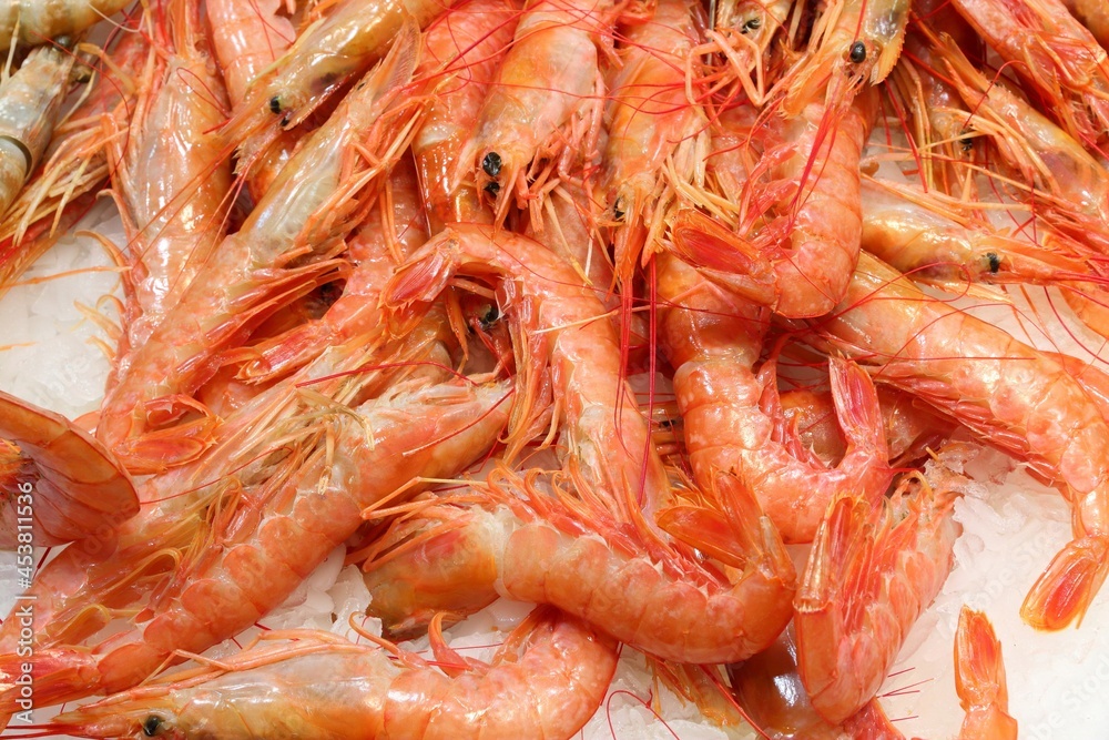 Spanish shrimp at fish market