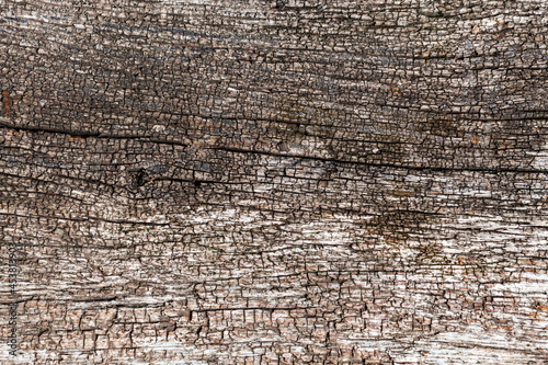 natural wood background aged with cracks and minor damage