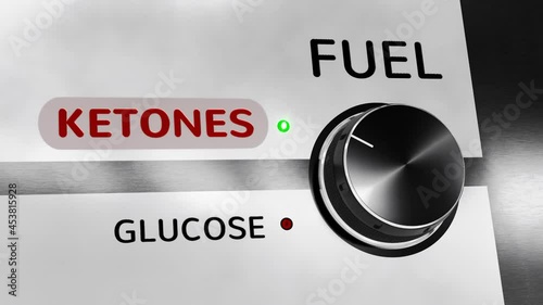 Fuel: Ketones / Glucose photo