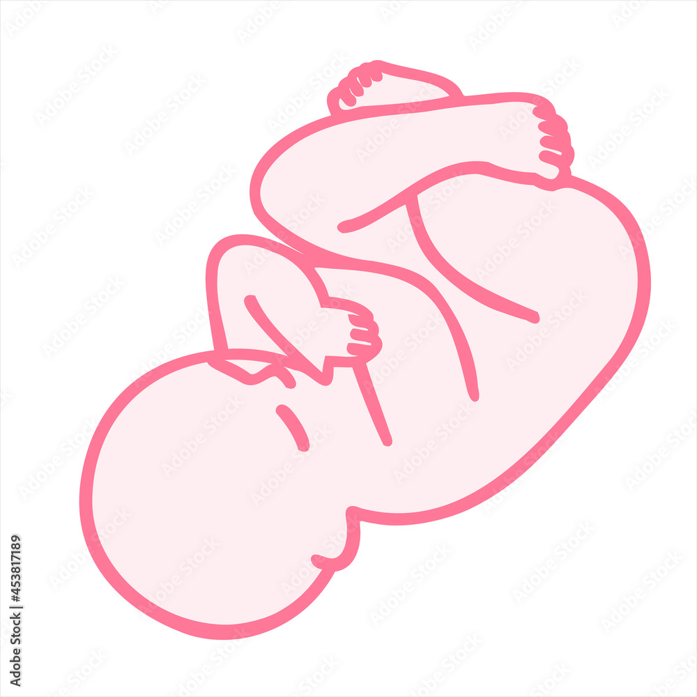 Fototapeta premium Human embryo, baby, hand drawing. Design editable image.
