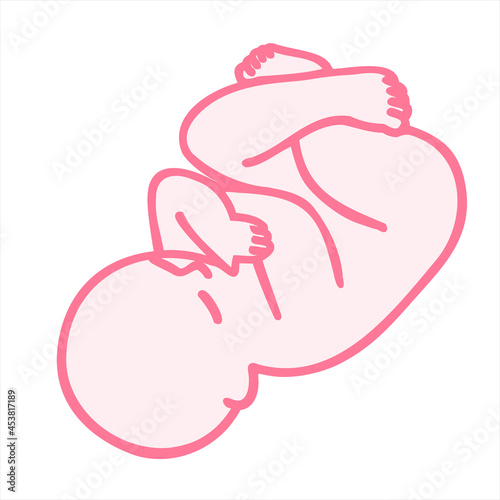 Human embryo, baby, hand drawing. Design editable image.