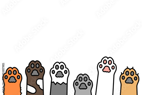 Cat paws olor line icon. Kitten footprint.