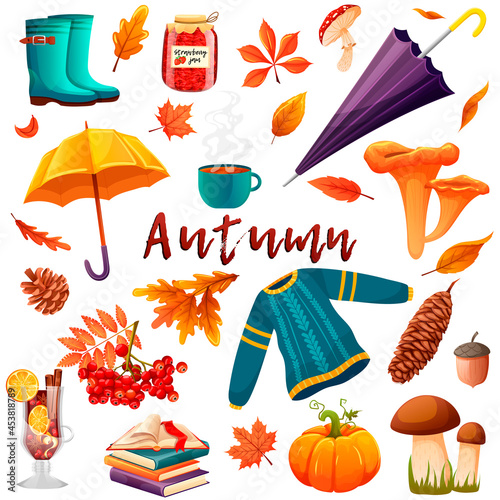 Set of autumn icons. Sweater, rubber boots, strawberry jam, umbrella, mushrooms, acorn, pumpkin, tea, books, mulled wine, cone, leaves. Concept of september vibes. Vector graphic illustration