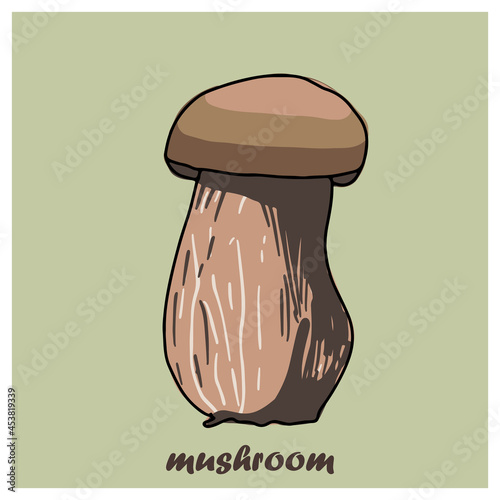 Isolated card with colorful autumn mushrooms, honey agarics, russula, boletus. Preschool cards. Set of autumn social media stories. Autumn stickers. Bright postcards. Vector eps 10 photo