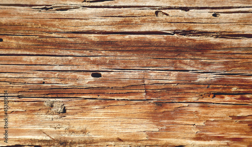 real wood textures for your designs