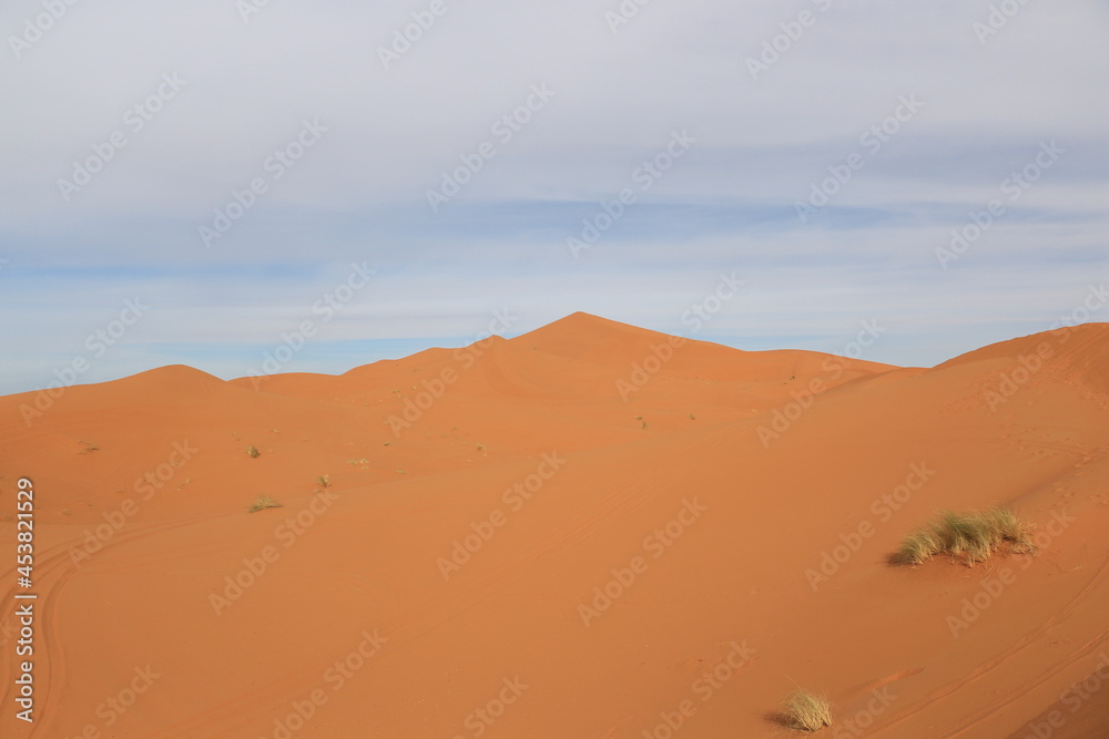 Fototapeta premium orange color dune 