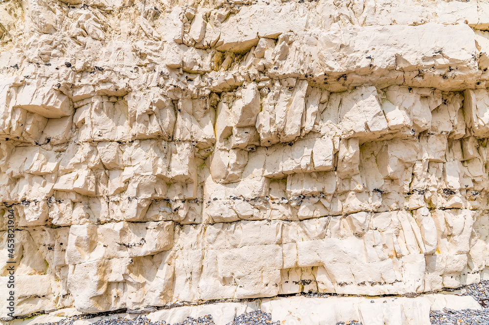 A closeup of the chalk cliff face at the Birling Gap, UK in early summer