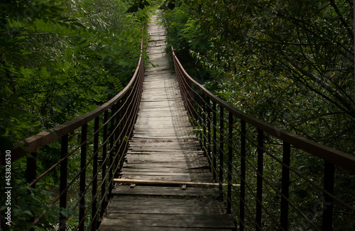 Wooden bridge in the woods