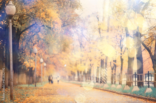 autumn season landscape in park, view of yellow trees alley background