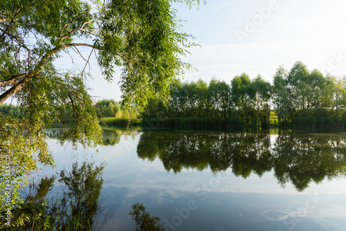 Perfectly smooth water surface on lake in the forest. Summer landscape. Glassy lake. 