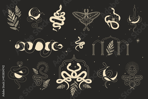 abstract illustration of mystical night. image of a snake, hands, phases of the moon and sun. sacred graphics geometry. mystical energy