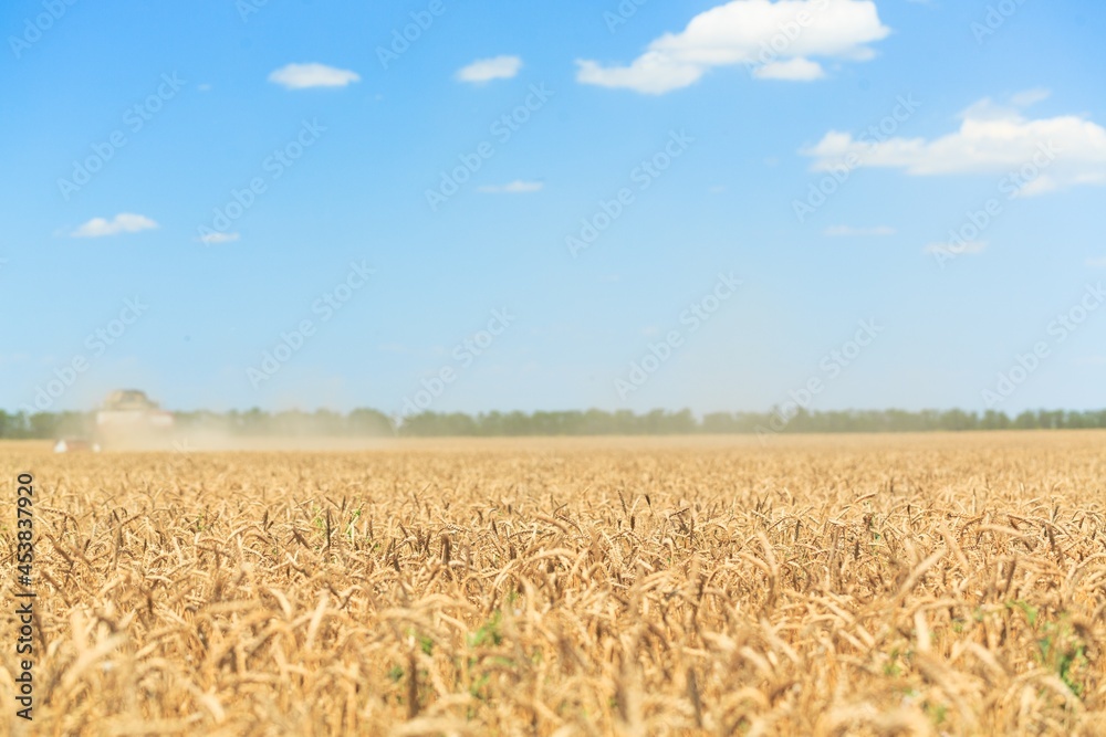 Naklejka premium Agriculture.