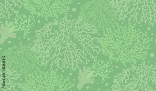 Seamless pattern of hand drawn underwater green corals and sea reefs in doodle style. Vector illustration.