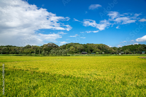 田園風景